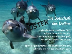 Grußkarte "Die Botschaft des Delfins"
